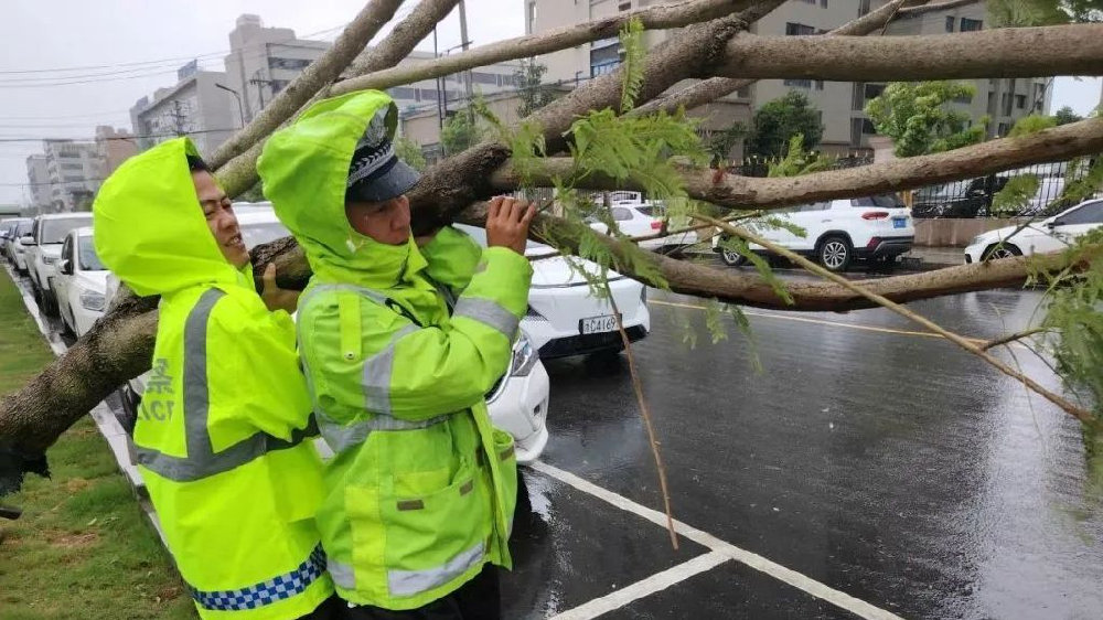 苍南台风预警升级，安全护航，共筑美好家园