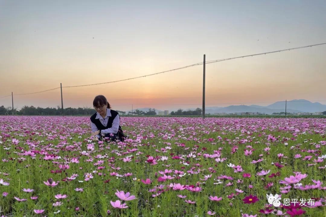 恩平新晋热门打卡圣地，尽享活力新风景